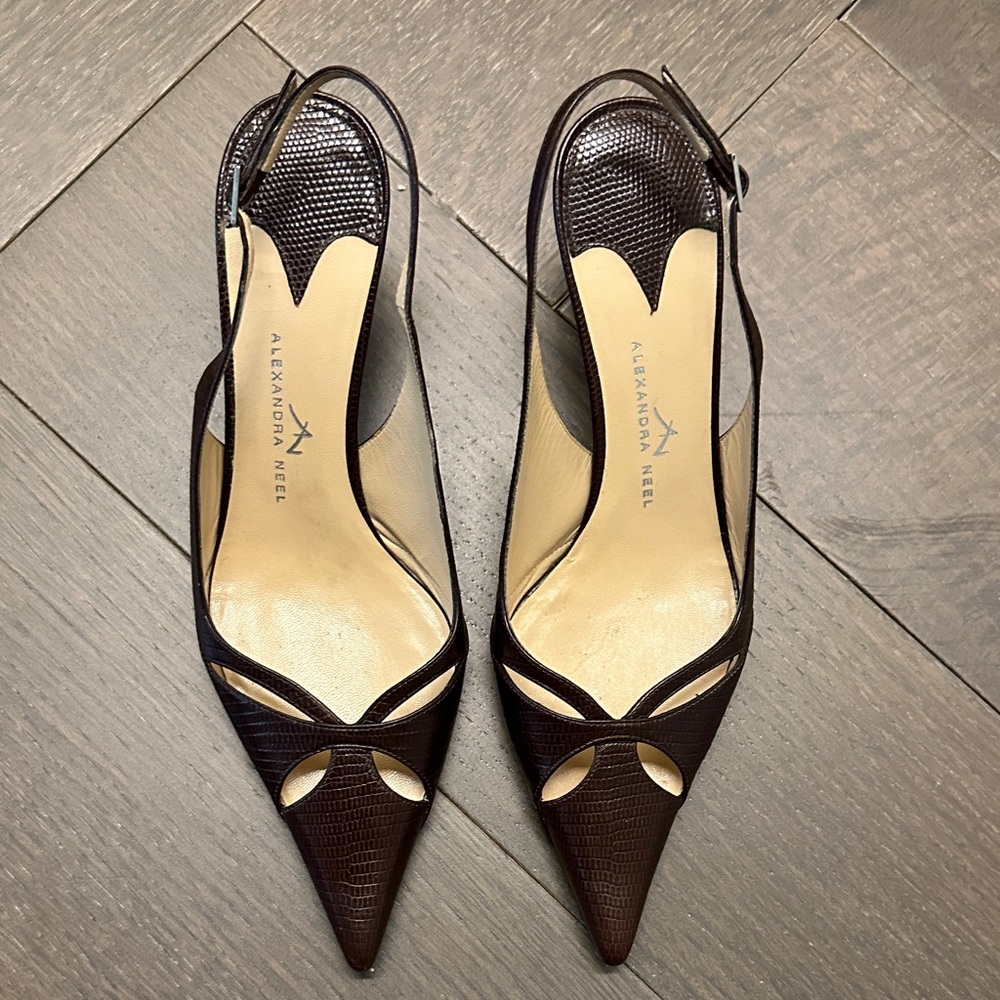Alexandra Neel Dark Brown Textured Pointed-Toe Slingback Heels